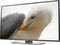 LG 43LF632V