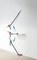 Dyson CINETIC BB ANIMAL PRO 2