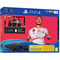 Sony PS4 1TB black + FIFA 20 + extra DS4
