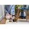 Bissell 4065N SPOT CLEAN CORDLESS
