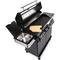 Fieldmann FZG 3035