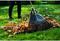 Fiskars 135090 SolidTM XL