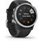 Garmin Fenix 6S Silver Black band