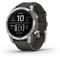 Garmin Fenix 7 Glass Silver/Graphite