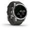 Garmin Fenix 7 Glass Silver/Graphite