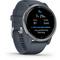 Garmin VENU 2 Silver/Granite Blue