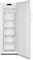 Gorenje FN417DCW