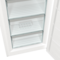 Gorenje FN619EAW6