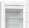 Gorenje FN619EAW6