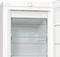 Gorenje FN619EEW5