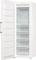 Gorenje FNP619EEW5L