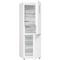 Gorenje NRK618C61W4WFE