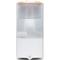 Levoit OASISMIST 450S SMART