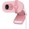 Logitech Webcam Brio 100 rose
