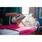 Philips HI5919/30