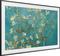 Samsung QE55LS03BG