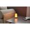 TESLA Smart Table Lamp