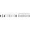 Veritas 21D POWER STITCH