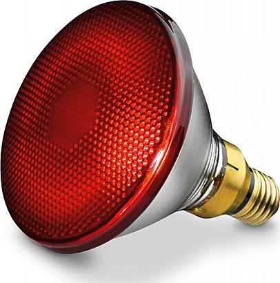Beurer Náhradní žárovka 150W na IL20 / I