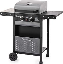 Fieldmann FZG 3000