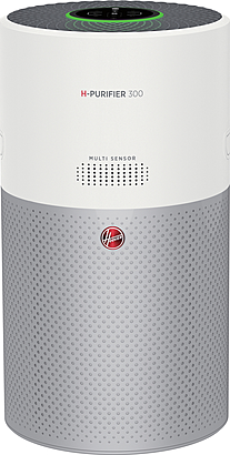 Hoover HHP30C011