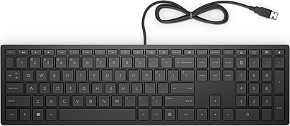 HP Pavilion Wired Keyboard 300