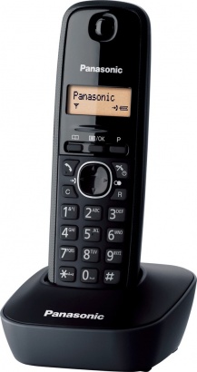 Panasonic KX TG1611FXH DECT