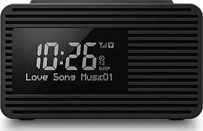 Panasonic RC-D8EG-K