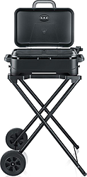 SEVERIN PG 8598