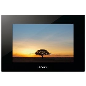 Sony DPF XR100B