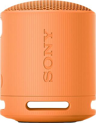 Sony SRS-XB100D