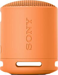 Sony SRS-XB100D
