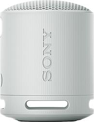 Sony SRS-XB100H