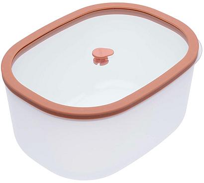 STATUS FRESKO 2,3l 177159 losos