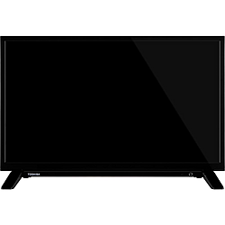 Toshiba 24WV2463DG