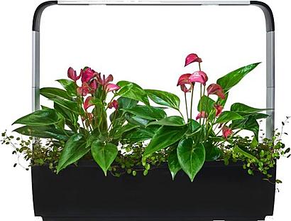Tregren T12 Kitchen Garden smart květ. Black