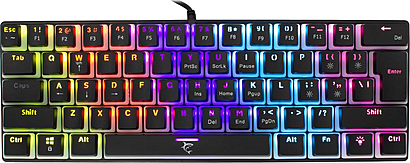 White Shark ASHIKO Black